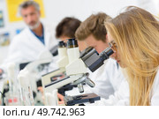 Science students looking into microscopes. Стоковое фото, агентство Ingram Publishing / Фотобанк Лори