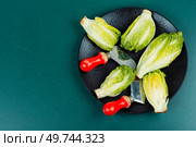 Fresh green Romaine lettuce hearts or Lactuca sativa. Copy space.. Group of Romaine lettuce hearts. Стоковое фото, агентство Ingram Publishing / Фотобанк Лори