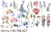 Watercolor set with, hydrangea, roses flowers, muscari, wisteria and leaves. Illustration. Watercolor set with, hydrangea, roses flowers, muscari, wisteria and leaves. . Стоковое фото, агентство Ingram Publishing / Фотобанк Лори