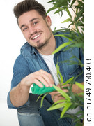 jovial man dusting the leaves of a houseplant. Стоковое фото, агентство Ingram Publishing / Фотобанк Лори