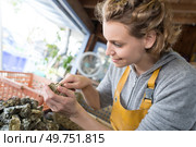 woman opening oysters. Стоковое фото, агентство Ingram Publishing / Фотобанк Лори