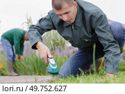 adult man watering sapling in backyard. Стоковое фото, агентство Ingram Publishing / Фотобанк Лори