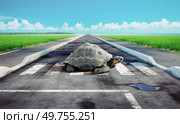 turtle crossing asphalt road. Photo and media mixed. creative concept. turtle crossing asphalt road. Стоковое фото, агентство Ingram Publishing / Фотобанк Лори