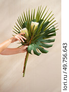 Hand holding tropical leaves greenery with green leaves and red anthurium flowers. tropical leaves greenery. Стоковое фото, агентство Ingram Publishing / Фотобанк Лори