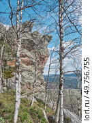 Spring Landscape with Bare Birch Trees and Rocky Cliff, Taganay National Park, Russia. Стоковое фото, фотограф Ирина Кононова / Фотобанк Лори