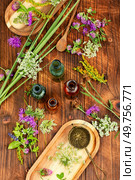 Bottles of dry herbs for preparing healing infusions on rustic wooden table. Retro styled.. Bottles of tincture, medicinal herbs. Стоковое фото, агентство Ingram Publishing / Фотобанк Лори
