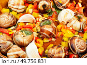 Stuffed snails with butter and herbs. Sardinian cuisine, Italian food.. Escargot snail filled with garlic. Стоковое фото, агентство Ingram Publishing / Фотобанк Лори