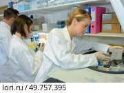 portrait of worker keeping the samples safe. Стоковое фото, агентство Ingram Publishing / Фотобанк Лори