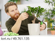 a man trimming a bonsai. Стоковое фото, агентство Ingram Publishing / Фотобанк Лори