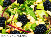 Vitamin vegan salad with blackberries, microgreens, avocado and pine nuts. Food background.. Salad with blackberries, avocado and microgreens, close up. Стоковое фото, агентство Ingram Publishing / Фотобанк Лори
