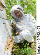 a beekeeper smoking the hive. Стоковое фото, агентство Ingram Publishing / Фотобанк Лори