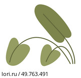 Flower pot. Vector illustration. The floral arrangements brighten up room with their vibrant colors The houseplant adds touch greenery to indoor space The botanical garden showcases vast collection. Flower pot. The field botany explores intricate details plant life. Стоковая иллюстрация, агентство Ingram Publishing / Фотобанк Лори