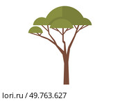 Tree vector illustration. Tree rings serve as historical record environmental conditions during their growth The fragility leaf reminds us delicate balance nature Environmental awareness promotes. Tree. Seasonal changes bring about dynamic transformation in appearance leaves. Стоковая иллюстрация, агентство Ingram Publishing / Фотобанк Лори