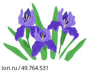 Spring flower vector illustration. The flowered landscape evoked sense joy and wonder in spring The botanical garden exhibited array springtime flora The bloomy atmosphere created by spring flowers. Spring flower. The seasonal blooms created tapestry colors in garden. Стоковая иллюстрация, агентство Ingram Publishing / Фотобанк Лори