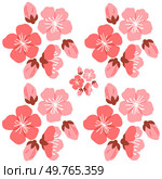 Sakura pattern vector illustration. The decorative elements incorporated repetitive sakura motifs, adding touch sophistication and charm The seamless design showcased intricate patterns and delicate. Sakura pattern. The flowery atmosphere evoked joyous feeling sakura season. Стоковая иллюстрация, агентство Ingram Publishing / Фотобанк Лори