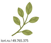 Leaves vector illustration. Leaves grow and intertwine, creating lush tapestry in heart garden The leaves metaphor poetically describes delicate ballet natures dance Blooms and blossoms are artistic. Leaves. Harvesting leaves requires delicate touch, respecting natural balance. Стоковая иллюстрация, агентство Ingram Publishing / Фотобанк Лори