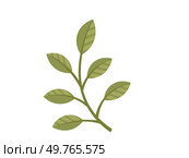 Leaves vector illustration. Cultivating garden is art, nurturing growth leaves and botanical beauty Organic greenery reflects inherent naturalness and beauty environment The leaves concept captures. Leaves. Organic greenery symbolizes naturalness flourishing plant life. Стоковая иллюстрация, агентство Ingram Publishing / Фотобанк Лори