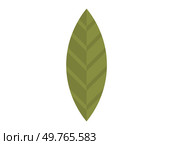 Leaves vector illustration. Blooms and blossoms are artistic expressions carefully tended garden Harvesting leaves requires gentle touch to maintain plants natural balance Cultivating garden is art. Leaves. Cultivating garden involves nurturing growth leaves and botanical wonders. Стоковая иллюстрация, агентство Ingram Publishing / Фотобанк Лори