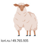 A stylized depiction of a standing sheep with a thick, fluffy wool coat. The sheep is shown in a cute, cartoonish style, isolated on a white background, ideal for farm-related themes and designs.. Standing sheep with thick wool coat, depicted in a stylized and cute manner, isolated on white background. Стоковая иллюстрация, агентство Ingram Publishing / Фотобанк Лори