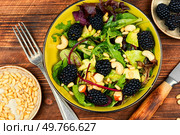 Vitamin salad with blackberries, microgreens, avocado and pine nuts on wooden rustic background. Rustic style. Salad with blackberries, avocado and microgreens. Стоковое фото, агентство Ingram Publishing / Фотобанк Лори