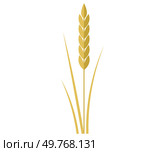 Spikelet of grain. Cereal wheat or rye. Ears of wheat. Cartoon golden branch with whole cereal corns and spikes on stalk, barley or oat in bunch, gold of organic harvest from farm field in autumn. Spikelet of grain. Cereal wheat or rye. Ears of wheat. Golden branch with whole cereal corns. Стоковая иллюстрация, агентство Ingram Publishing / Фотобанк Лори