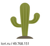 Cactus, desert plant, prickly green bush, thorny tropical wild plant, spiny cartoon decorative herb isolated on white. Mexican succulent, spiny survivor thrives in nature, western botanical symbol. Cactus, desert plant, prickly green bush, thorny tropical wild plant, spiny cartoon decorative herb. Стоковая иллюстрация, агентство Ingram Publishing / Фотобанк Лори