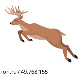 Running deer jump. Cute jumping fallow-deer with antlers, wild artiodactyl horned animal isolated on white. Happy new year decoration. Merry christmas holiday celebration. Hunting season and zoo. Running deer jump. Cute jumping fallow-deer with antlers, wild artiodactyl horned animal isolated. Стоковая иллюстрация, агентство Ingram Publishing / Фотобанк Лори