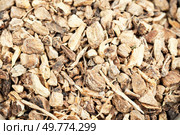 Medicinal herbs: elecampane or Inula helenium, root, elecampane, Inula helenium.. Medicinal root of elecampane. Стоковое фото, агентство Ingram Publishing / Фотобанк Лори