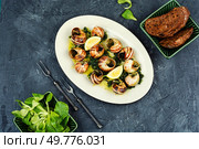 Delicious cooked snails with parsley on table. Escargot delicacy snails. Стоковое фото, агентство Ingram Publishing / Фотобанк Лори