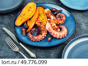 Grilled or roasted octopus tentacles garnished with baked sweet potato wedges. Food photography.. A dish with roasted octopus tentacles. Стоковое фото, агентство Ingram Publishing / Фотобанк Лори