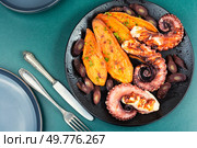Grilled or roasted octopus tentacles garnished with baked sweet potato wedges. Flat lay. A dish with roasted octopus tentacles. Стоковое фото, агентство Ingram Publishing / Фотобанк Лори
