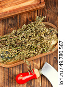 Dried wormwood herb for medicinal tea on rustic wooden table. Wormwood in phytotherapy.. Wormwood, dried medicinal herbs on wooden background. Стоковое фото, агентство Ingram Publishing / Фотобанк Лори
