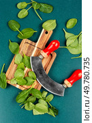 Raw spinach leaves on the kitchen table. Fresh spinach salad preparation kitchen recipe. Top view.. Fresh spinach leaves. Стоковое фото, агентство Ingram Publishing / Фотобанк Лори