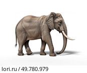Realistic 3D render of an African elephant with large tusks. 3d render. Realistic 3D render of an African elephant. Стоковое фото, агентство Ingram Publishing / Фотобанк Лори