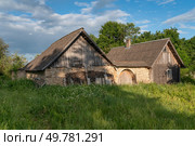 View of a traditional old wooden residential building and an outbuilding with a gate made of local limestone flagstone on a sunny summer day, Izborsk, Pskov region, Russia. Стоковое фото, фотограф Ula Ulachka / Фотобанк Лори