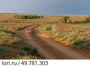 View of semi-desert landscapes opening from the foot of the tourist center "Sarai-Batu" on a sunny summer day, Kharabalinsky district, Astrakhan region, Russia. Стоковое фото, фотограф Ula Ulachka / Фотобанк Лори