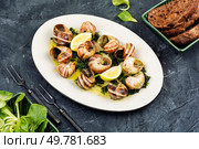 Snails baked with sauce, Bourgogne escargot snails, concept of french cuisine, gourmet food.. Baked snails with butter. Стоковое фото, агентство Ingram Publishing / Фотобанк Лори