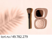 Minimal modern cosmetic scene with make up brushes, bronzer and shadow overlay, color of the year 2025 mocha mousse. make up brushes. Стоковое фото, агентство Ingram Publishing / Фотобанк Лори