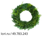 green christmas wreath isolated on white background. green christmas wreath. Стоковое фото, агентство Ingram Publishing / Фотобанк Лори