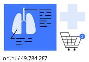 Lung diagram with annotations, medical cross symbol, and shopping cart with notification bubble. Ideal for healthcare, online medical services, e-commerce, respiratory health education, telemedicine. Medical Infographic with Lung Diagram and Shopping Cart Icon Overlaid with Notification Bubble. Стоковая иллюстрация, агентство Ingram Publishing / Фотобанк Лори