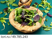 Green fresh juicy lettuce leaves in a stylish wooden bowl. Mixed salad leaves.. Vegetarian vegan food, leaf salad. Стоковое фото, агентство Ingram Publishing / Фотобанк Лори