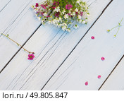 Полевые цветы. Букет белых и розовых цветов на светло-голубом потертом деревянном фоне. Стоковое фото, фотограф AllNikArt / Фотобанк Лори