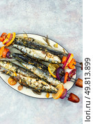 Grilled sardines fish skewers. BBQ, baked sardines skewers. Food photography. Fish Meat on Skewers.. Grilled Fish Skewers. Стоковое фото, агентство Ingram Publishing / Фотобанк Лори