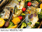 Tasty roasted sea bream fish and vegetables, close up. Delicious baked dorado fish with spices and fried vegetables in a baking sheet.. Delicious roasted fish sea bream, BBQ. Стоковое фото, агентство Ingram Publishing / Фотобанк Лори