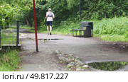 Two runners jog along the path in the park after the rain. Стоковое видео, видеограф Ярославский Максим / Фотобанк Лори