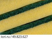 Green and yellow Sponge texture detail. Стоковое фото, агентство Ingram Publishing / Фотобанк Лори