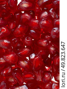 Macro up view of peeled red ripe pomegranate seeds. Стоковое фото, агентство Ingram Publishing / Фотобанк Лори