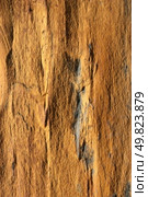 Background texture of earthy colored shale stone. Стоковое фото, агентство Ingram Publishing / Фотобанк Лори