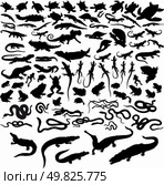 Big collection of vector reptiles isolated on white. Стоковая иллюстрация, агентство Ingram Publishing / Фотобанк Лори
