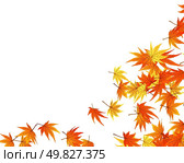 Twisted row of autumn  maples leaves. Vector illustration. Стоковая иллюстрация, агентство Ingram Publishing / Фотобанк Лори